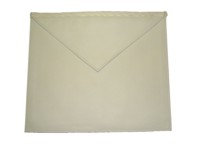 Craft Entered Apprentice Apron - Lambskin with belt & fittings