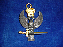 R.C. 30* Collar Jewel Eagle